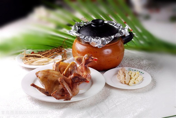 天麻煨乳鸽的美食图片