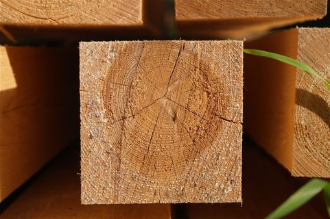 大量堆放在一起的圆木高清摄影