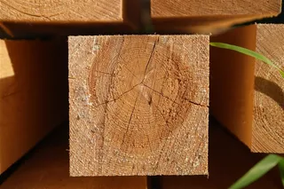 大量堆放在一起的圆木高清摄影