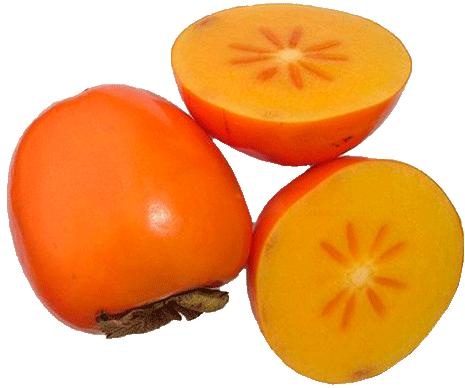 柿子 PNG免抠(465x388)
