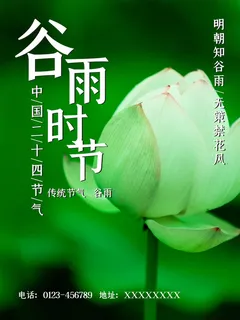 谷雨 谷雨海报图片