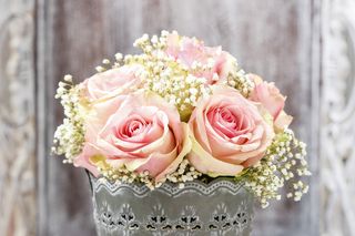 粉色玫瑰花束图片