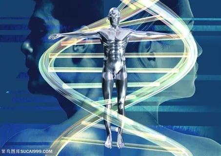 生化科技-人体DNA结构 生化科技-人体DNA结构