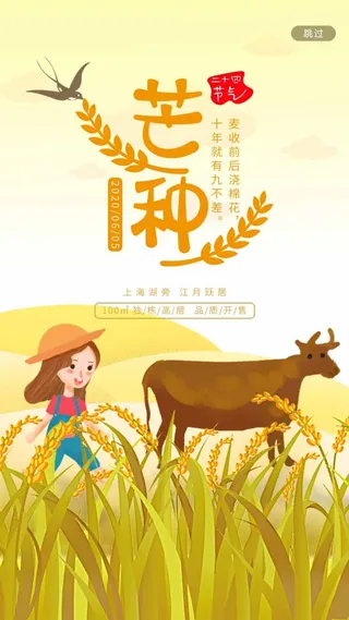 芒种 芒种营销设计