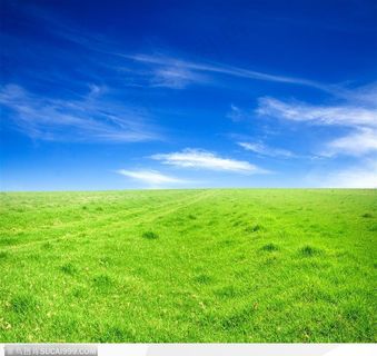 天空下的青草地