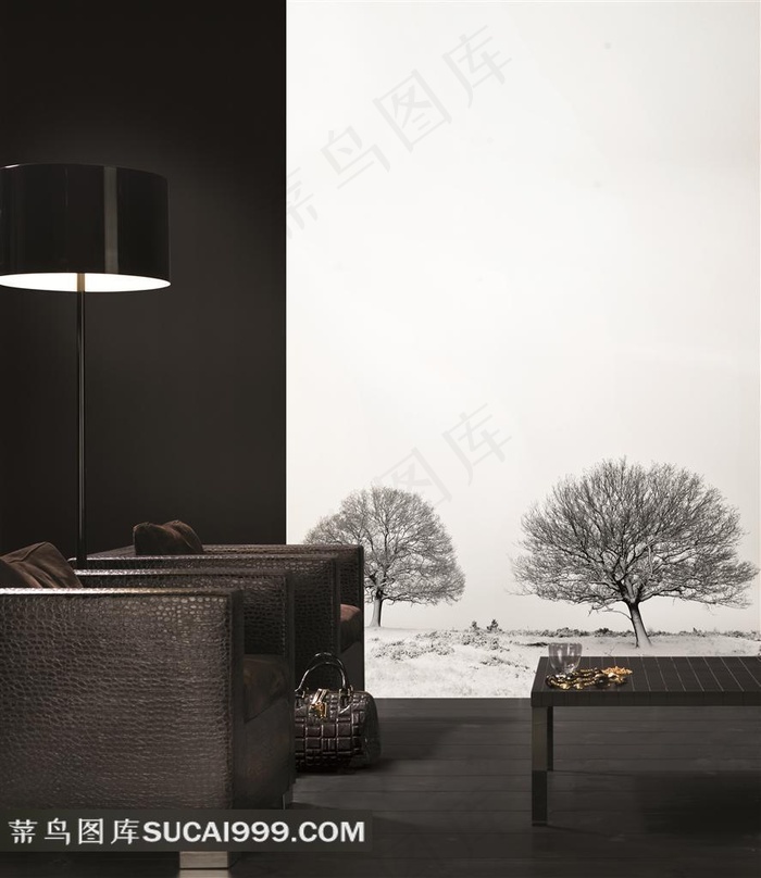 欧美室内效果图黑白