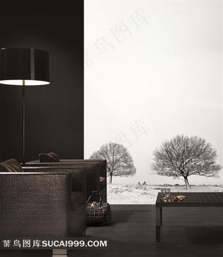 欧美室内效果图黑白