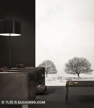 欧美室内效果图黑白