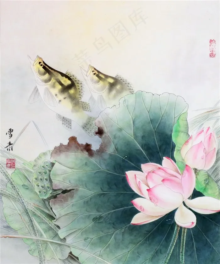 荷花游鱼工笔画