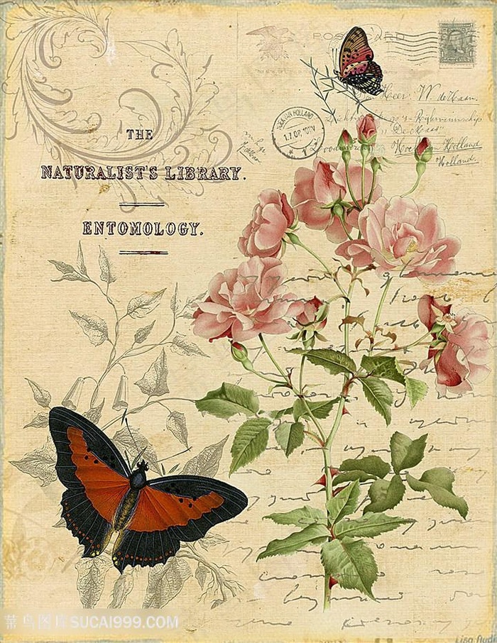 欧式花与蝴蝶装饰画