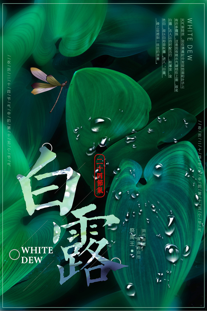 创意中国风白露节传统节气海报
