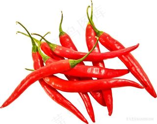 红辣椒png图片