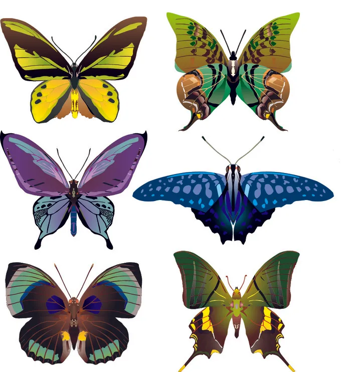 矢量蝴蝶素材ai矢量模版下载