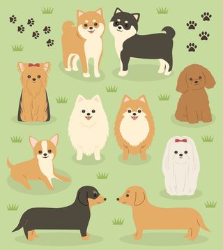 矢量可爱狗狗图案素材04