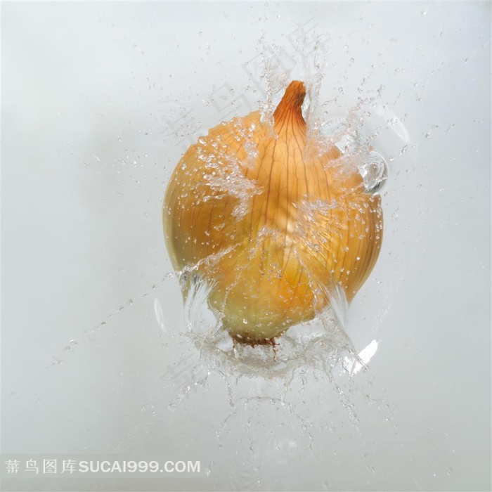落入水中的洋葱高清动态摄影
