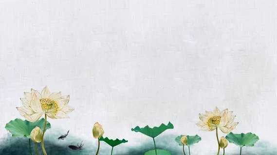 荷花背景