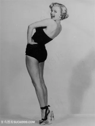 大气玛丽莲梦露挂画