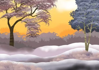 冬天白色背景风景