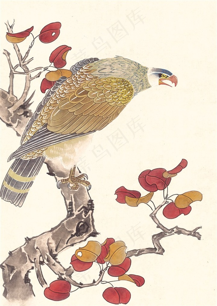 家畜艺术绘画摄影图片