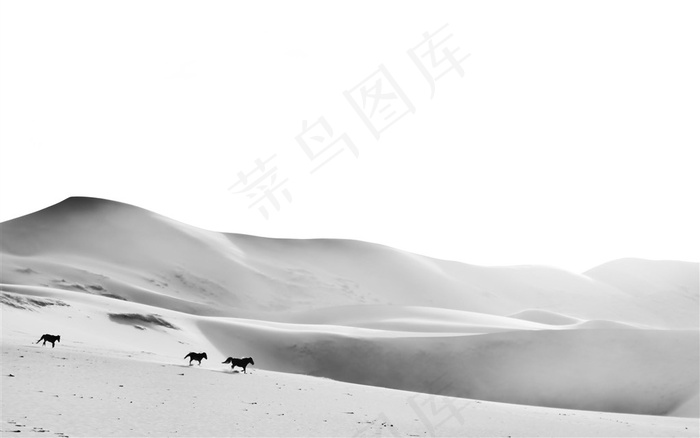 沙漠里奔跑的马