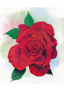 彩绘玫瑰花图片 彩绘玫瑰花图片