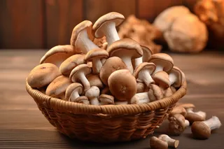 新鲜采摘的蘑菇蔬菜摄影图