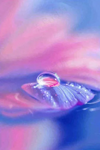 粉蓝渐变鲜花唯美水滴手绘插画