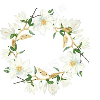 白色玉兰花花环插画