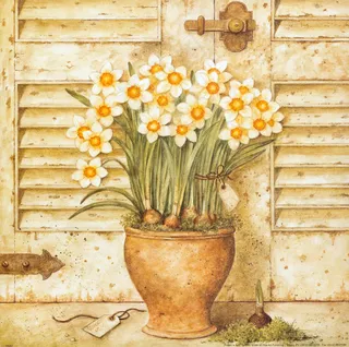 唯美花卉高清艺术插画油画