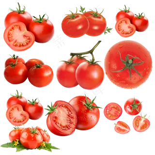 蔬菜、水果、作料