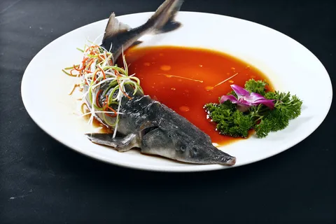 H00076清蒸中华鲟 (2)