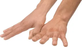 手 PNG, 手图像免费免抠