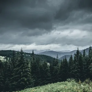 乌云树林与远处的山峦摄影高清图片 乌云树林与远处的山峦摄影高清图片