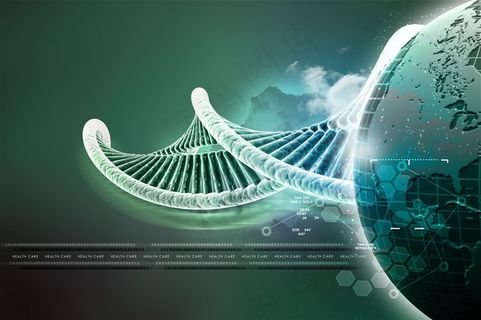 DNA和RNA结构示意高清图片