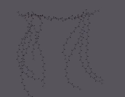 原创藤条手绘简约风黑白线条素材