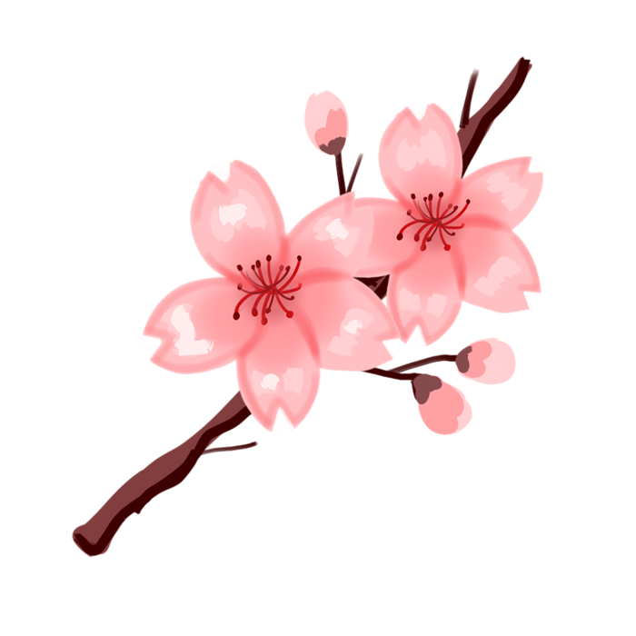 春天浪漫粉红色樱花手绘樱花梅花桃花花朵图片PNG免扣素材