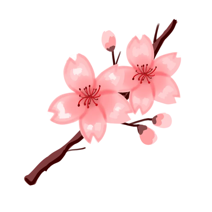 春天浪漫粉红色樱花手绘樱花梅花桃花花朵图片PNG免扣素材