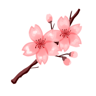 春天浪漫粉红色樱花手绘樱花梅花桃花花朵图片PNG免扣素材