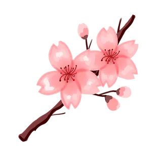 春天浪漫粉红色樱花手绘樱花梅花桃花花朵图片PNG免扣素材