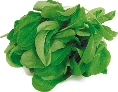 火锅配菜之青菜一