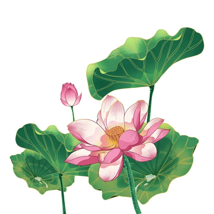 国潮中国风手绘荷花莲花荷叶莲藕植物花卉装饰插画PSD设计素材