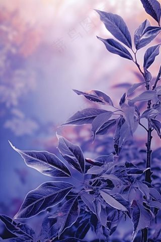 紫色枝叶清新背景