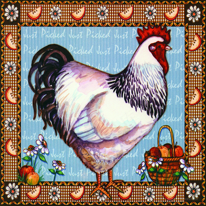 公鸡高清艺术插画