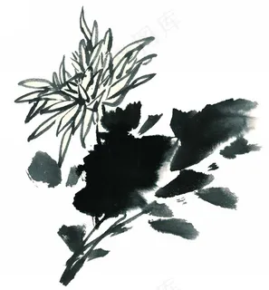 水墨菊花素材图片