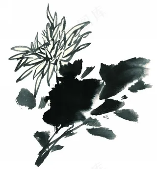 水墨菊花素材图片
