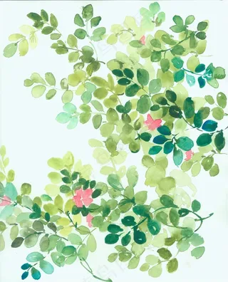 手绘树叶图片