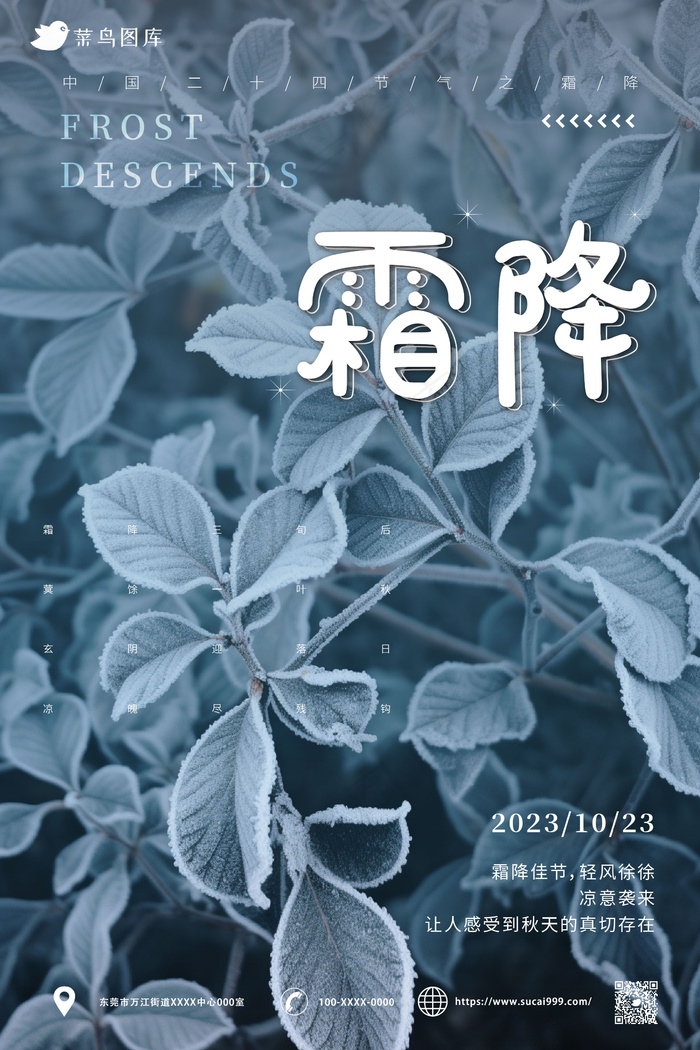 结霜树叶 树枝   霜降节气海报 ai矢量模版下载