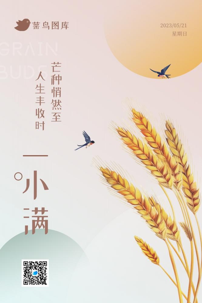 小满节气极简风格海报(2000x3000)psd模版下载