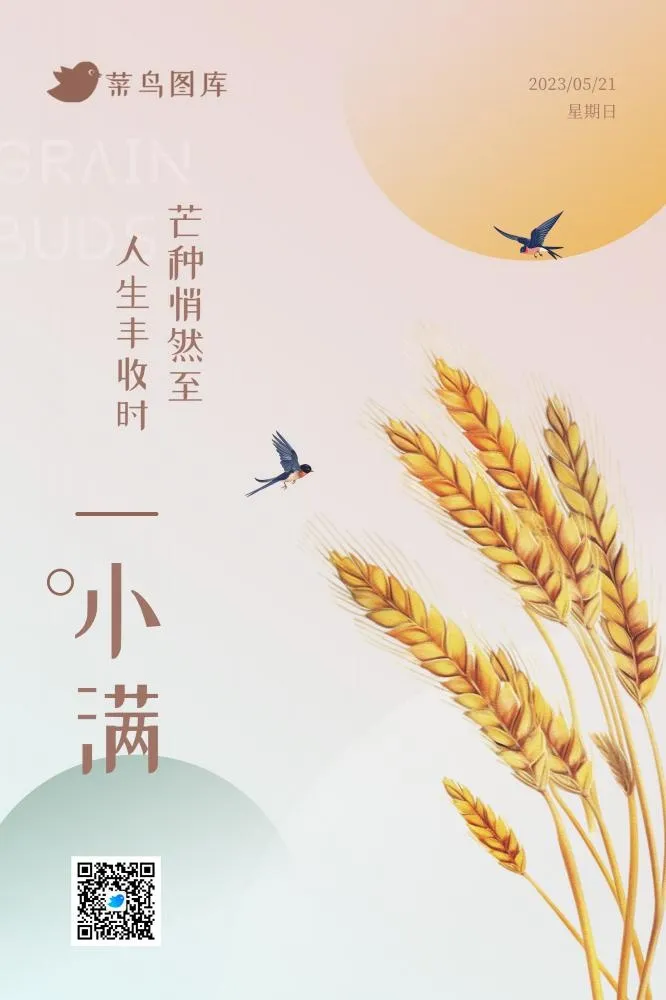 小满节气极简风格海报(2000x3000)psd模版下载