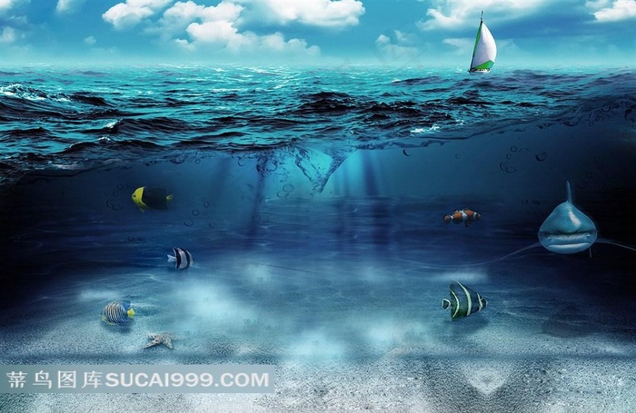 清澈海底透视图